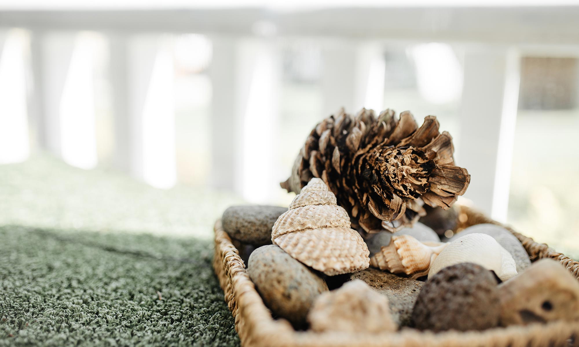 A basket of pinecones, shells and stones for close observation