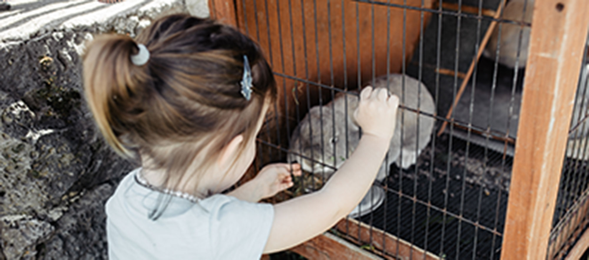 A child gently interacting with a small pet
